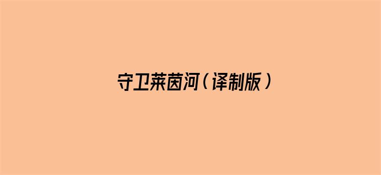 守卫莱茵河（译制版）